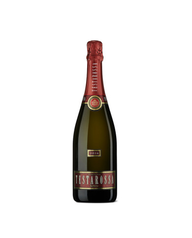 Vini Grandi Formati  Testarossa Oltrepò Pavese DOCG Metodo Classico Brut 2016 Magnum cassetta Legno - La Versa 73,77 â‚¬ Vini Grandi Formati  Testarossa Oltrepò Pavese DOCG Metodo Classico Brut 2016 Magnum cassetta Legno - La Versa 73,77 â‚¬