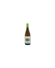 Witte Wijnen  Mormaj Pecorino Colline Pescaresi IGT 2020 - Tocco d'Italy 10,92 â‚¬ Witte Wijnen  Mormaj Pecorino Colline Pescaresi IGT 2020 - Tocco d'Italy 10,92 â‚¬