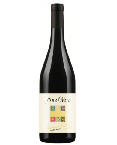 Red Wines  Pinot Nero dell'Oltrepò Pavese DOC 2022 - Sansaluto 4,72 â‚¬ Red Wines  Pinot Nero dell'Oltrepò Pavese DOC 2022 - Sansaluto 4,72 â‚¬
