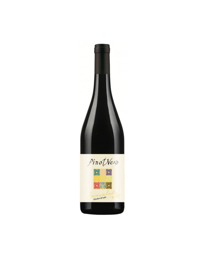 Red Wines  Pinot Nero dell'Oltrepò Pavese DOC 2022 - Sansaluto 4,72 €