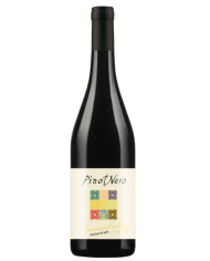 Red Wines  Pinot Nero dell'Oltrepò Pavese DOC 2022 - Sansaluto 4,72 €