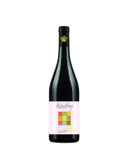 Vini Bianchi  Riesling Vino Frizzante Oltrepò Pavese DOC - Sansaluto 3,69 €