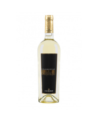 Witte Wijnen Rakelena Chardonnay Sicilia DOC 2022 - Cummo Vini 8,03 € Witte Wijnen Rakelena Chardonnay Sicilia DOC 2022 - Cummo Vini 8,03 €