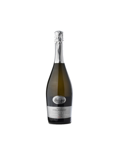 Vini in Offerta  Prosecco DOC Brut - Tenuta di Collalbrigo 9,59 € Vini in Offerta  Prosecco DOC Brut - Tenuta di Collalbrigo 9,59 €