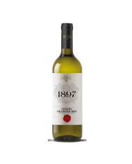 White wines  1897 Passerina Colline Pescaresi IGP 2022 - Nestore Bosco 7,99 €