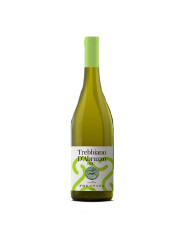 White wines  Moneta Trebbiano D'Abruzzo DOC 2023 - Cantina Frentana 7,31 €