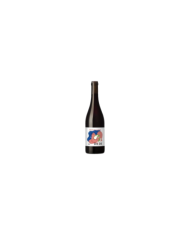 Rode wijnen  DA DI Rosso Toscana IGT 2022 - Avignonesi 16,72 € Rode wijnen  DA DI Rosso Toscana IGT 2022 - Avignonesi 16,72 €