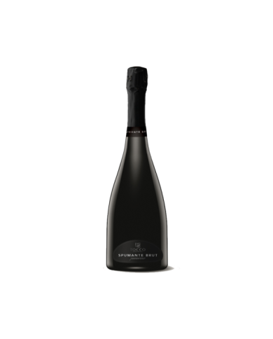 White wines  Spumante Brut Pecorino - Tocco 11,06 € White wines  Spumante Brut Pecorino - Tocco 11,06 €