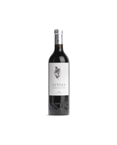 Vini Rossi  Lupaia Montepulciano d'Abruzzo DOC 2019 - Castorani 13,93 € Vini Rossi  Lupaia Montepulciano d'Abruzzo DOC 2019 - Castorani 13,93 €