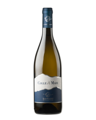 White wines  Colle di Mare Marche Bianco IGT 2022 - Damiani 9,82 â‚¬ White wines  Colle di Mare Marche Bianco IGT 2022 - Damiani 9,82 â‚¬