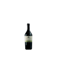 Vini Bianchi  Pinot Bianco Alto Adige DOC 2008 - San Michele Appiano 58,30 €