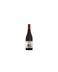 Vini Rossi  Cabernet Alto Adige DOC 2022 - San Michele Appiano 10,30 â‚¬ Vini Rossi  Cabernet Alto Adige DOC 2022 - San Michele Appiano 10,30 â‚¬