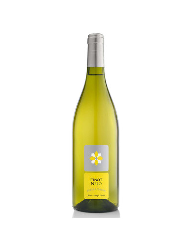 White wines  Pinot Nero Vinificato in Bianco 2022 - Berté Cordini 12,08 €