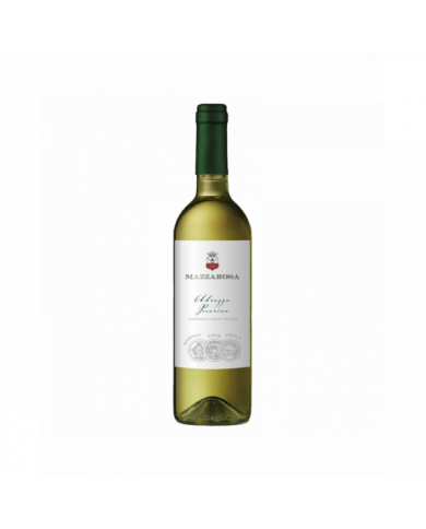 White wines  Abruzzo Pecorino DOC 2022 - Mazzarosa 11,42 €