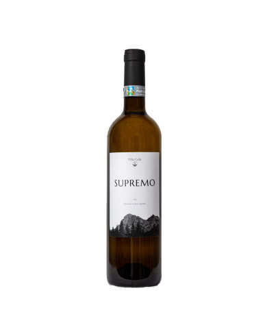 White wines  Supremo bianco d'Abruzzo - Cantina Villa Colle 8,26 € White wines  Supremo bianco d'Abruzzo - Cantina Villa Colle 8,26 €