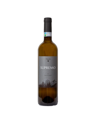 Rosé Wines  Supremo rosè d'Abruzzo - Cantina Villa Colle 8,26 € Rosé Wines  Supremo rosè d'Abruzzo - Cantina Villa Colle 8,26 €