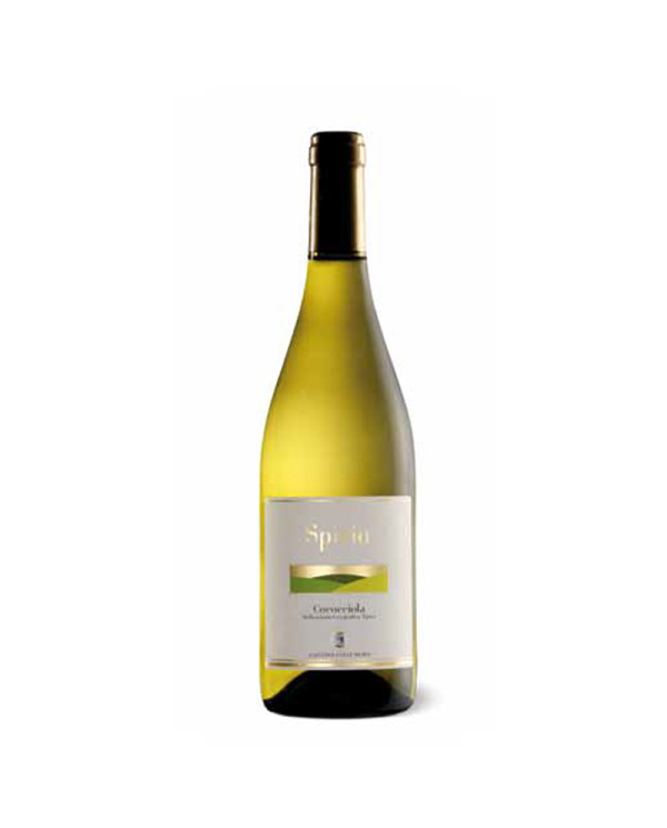 White wines  Spiria Cococciola Terre di Chieti IGP 2022 - Cantina Colle Moro 5,34 â‚¬ White wines  Spiria Cococciola Terre di Chieti IGP 2022 - Cantina Colle Moro 5,34 â‚¬