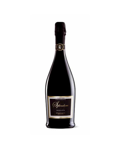 Vini Bianchi  Splendore Moscato spumante dolce - Cantina Colle Moro 6,22 € Vini Bianchi  Splendore Moscato spumante dolce - Cantina Colle Moro 6,22 €