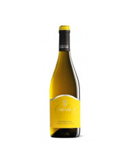Witte Wijnen  Club Chardonnay Terre di Chieti IGP 2023 - Cantina Colle Moro 4,02 €