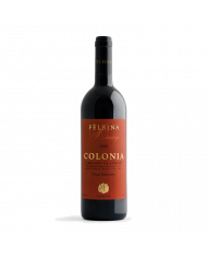 Rode wijnen  Colonia Chianti Classico Gran Selezione 2019 - Fattoria Felsina 81,00 â‚¬ Rode wijnen  Colonia Chianti Classico Gran Selezione 2019 - Fattoria Felsina 81,00 â‚¬