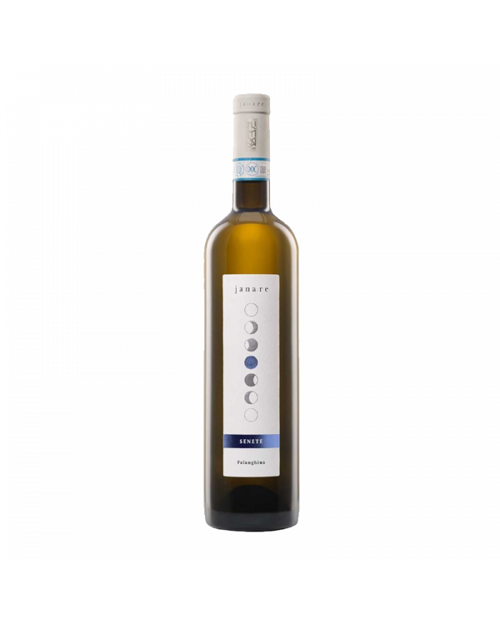 Vini Bianchi  Senete Falanghina del Sannio DOP 2022 - La Guardiense 8,93 â‚¬ Vini Bianchi  Senete Falanghina del Sannio DOP 2022 - La Guardiense 8,93 â‚¬