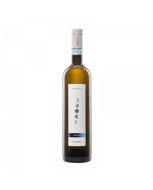 Vini Bianchi  Senete Falanghina del Sannio DOP 2022 - La Guardiense 8,93 â‚¬ Vini Bianchi  Senete Falanghina del Sannio DOP 2022 - La Guardiense 8,93 â‚¬