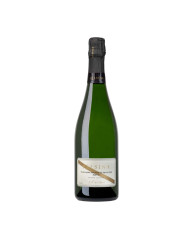 Vini Bianchi  Spumante Brut S.T. 10 anni Metodo Classico - Fattoria Felsina 33,60 â‚¬ Vini Bianchi  Spumante Brut S.T. 10 anni Metodo Classico - Fattoria Felsina 33,60 â‚¬