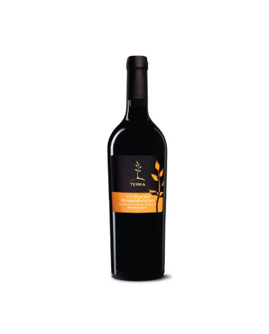 Red Wines  Terra Rosso Piceno DOC Superiore 2020 - Velenosi 8,92 € Red Wines  Terra Rosso Piceno DOC Superiore 2020 - Velenosi 8,92 €