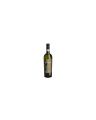 Vini Bianchi  Esoterico Fiano di Avellino DOCG Bio 2020 - Donnachiara 20,90 € Vini Bianchi  Esoterico Fiano di Avellino DOCG Bio 2020 - Donnachiara 20,90 €