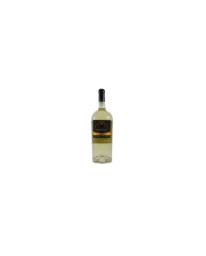 White wines  Fiano di Avellino DOCG Magnum 2022 - Donnachiara 38,60 €