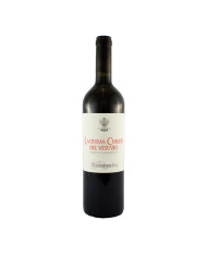 Red Wines  Lacryma Christi del Vesuvio Rosso DOC 2021 - Mastroberardino 14,35 €