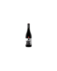 Vini Rossi  Montepulciano D’Abruzzo DOC 2021 - Vigneti Radica 10,66 €