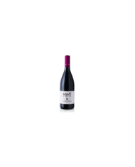 Red Wines  MIMÌ Montepulciano d’Abruzzo D.O.C. 2021 - Dora Sarchese 7,28 €