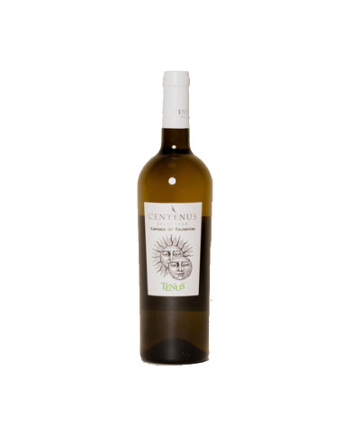 Vini Bianchi  Centènus Campania Falanghina IGT 2022 - Sella delle Spine 4,90 €