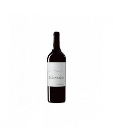 Vini Rossi  Bellovedere Montepulciano d'Abruzzo DOC Riserva 2020 - Fattoria La Valentina 37,50 € Vini Rossi  Bellovedere Montepulciano d'Abruzzo DOC Riserva 2020 - Fattoria La Valentina 37,50 €