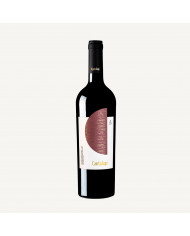 Red Wines  Cantalupi Susumaniello IGP 2022 - Conti Zecca 7,80 €