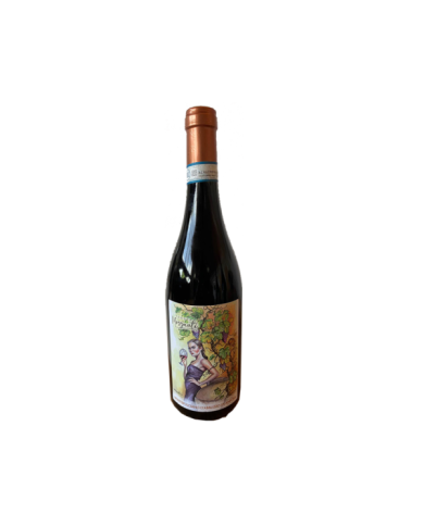 Red Wines  Montepulciano D'Abruzzo DOC 2020 Affinato in Anfora - Tenuta Morganti 14,26 € Red Wines  Montepulciano D'Abruzzo DOC 2020 Affinato in Anfora - Tenuta Morganti 14,26 €