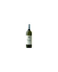 Vini Bianchi  Vicenne Trebbiano D'Abruzzo DOC 2023 - Antica Casa Vitivinicola Italo Pietrantonj 4,96 €