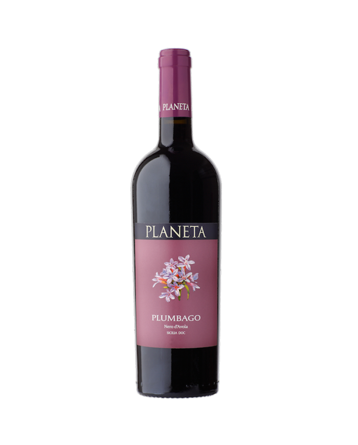 Rode wijnen  Plumbago Nero D'Avola Sicilia Menfi DOC 2021 - Planeta 14,38 â‚¬ Rode wijnen  Plumbago Nero D'Avola Sicilia Menfi DOC 2021 - Planeta 14,38 â‚¬