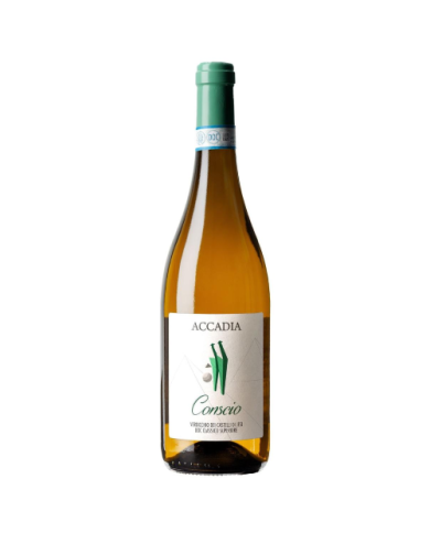 Vini Bianchi  Conscio Verdicchio dei Castelli di Jesi Doc classico Superiore 2022 - Accadia 15,27 €