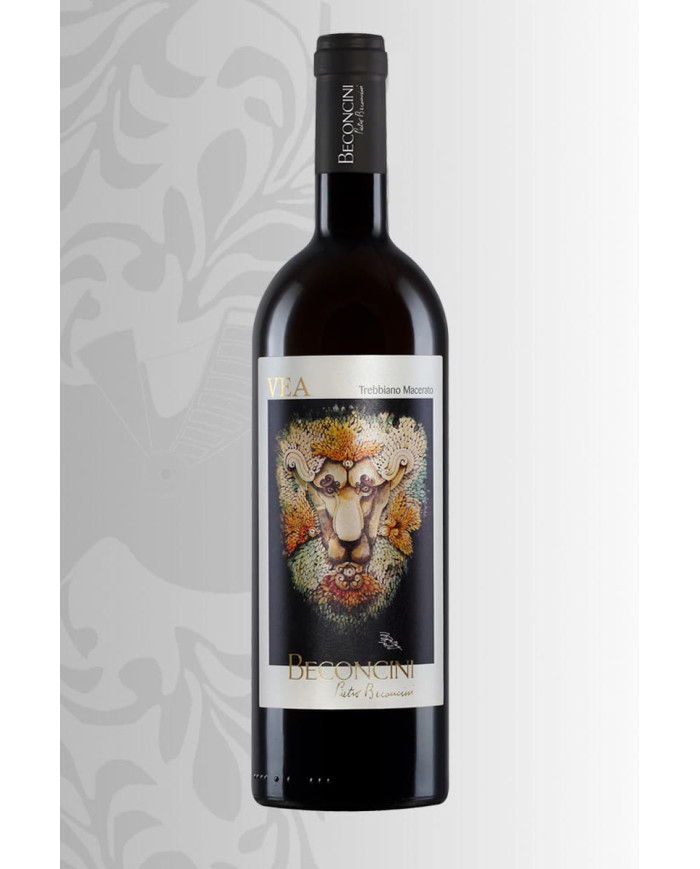 White Wines  VEA Toscana Trebbiano IGT Macerato 2020 - Beconcini 14,90&nbsp;€
