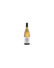 Witte Wijnen  M.CHAPOUTIER Cotes Du Rhone Blanc 2021 - Bila Haut 10,80 €