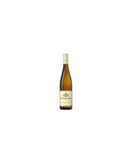White wines  Dr. Burklin-Wolf Riesling Trocken 2021 - Burklin-Wolf 16,90&nbsp;€
