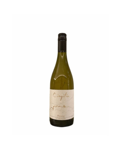White wines  Pecorino Colline Pescaresi IGT 2023 - Cingilia 11,89 â‚¬ White wines  Pecorino Colline Pescaresi IGT 2023 - Cingilia 11,89 â‚¬