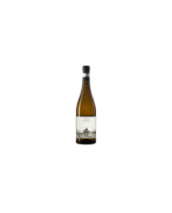 Witte Wijnen  Passerina D'Abruzzo DOC 2022 - Contesa 8,10 €