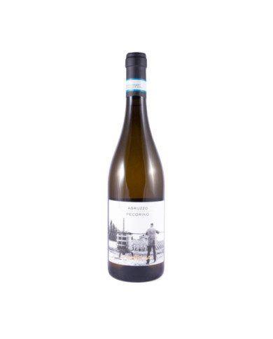 White wines  Pecorino D'Abruzzo DOC 2022 - Contesa 8,40 €