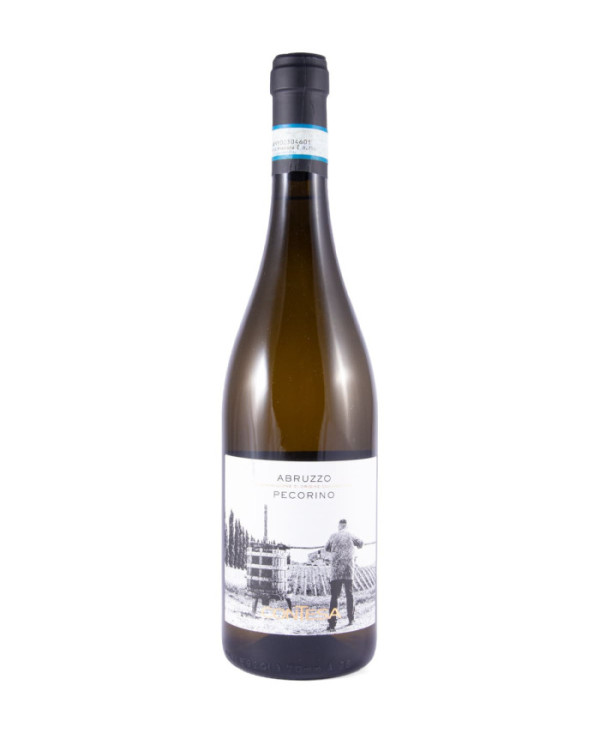 White wines  Pecorino D'Abruzzo DOC 2022 - Contesa 8,40 â‚¬ White wines  Pecorino D'Abruzzo DOC 2022 - Contesa 8,40 â‚¬