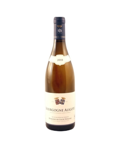 Vini Bianchi  Bourgogne Aligote 2020 - Domaine Du Lycee 12,90 €