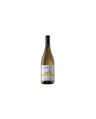 Witte Wijnen  448 s.l.m. Bianco Vigneti delle Dolomiti IGT 2023 - Girlan 9,71 €