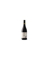 Rode wijnen  Montepulciano d’Abruzzo D.O.C 2019 Bio - D'Alesio Sciarr 10,50 €